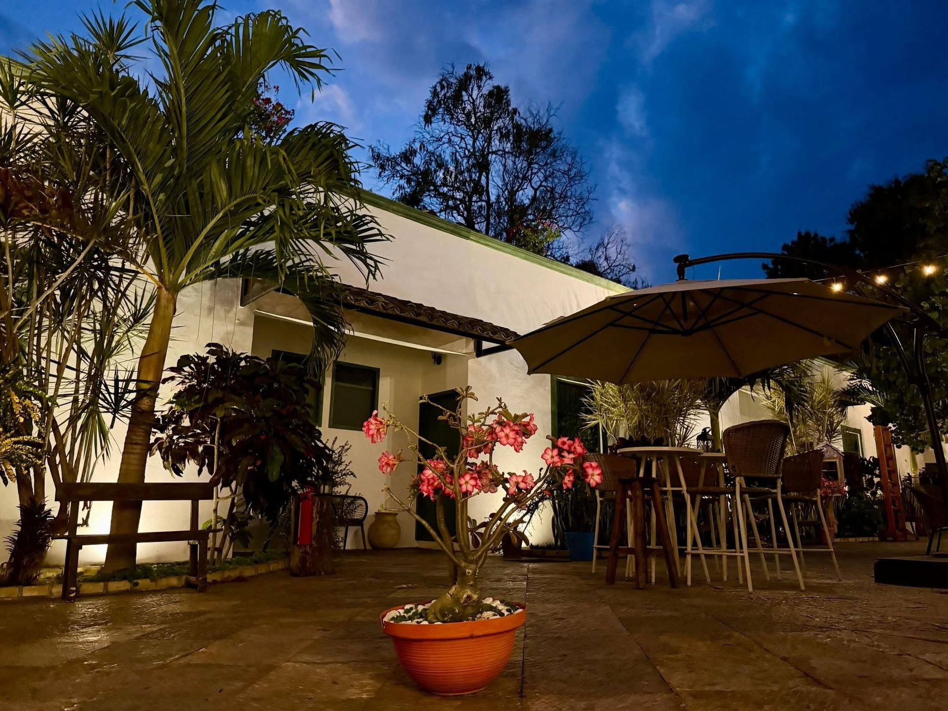 Patio iluminado al anochecer